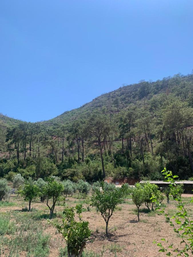 Doga Ciftlik Konaklama Marmaris Eksteriør billede